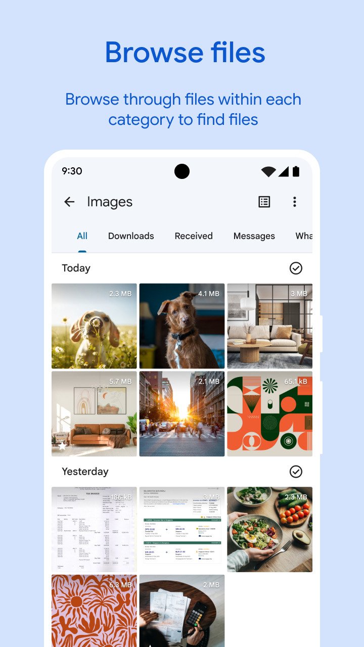 Files by Google screenshot