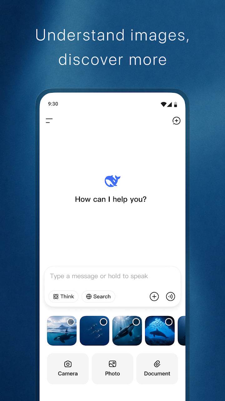 DeepSeek - AI Assistant screenshot